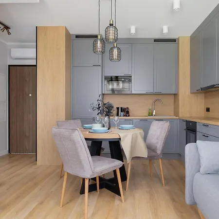 公寓 Elegancki W Krakowie Z Klimatyzacja I Dostepem Do Silowni By Renters 克拉科夫