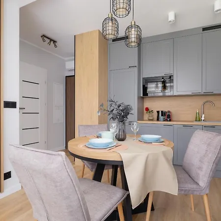 Elegancki W Krakowie Z Klimatyzacja I Dostepem Do Silowni By Renters * 크라쿠프