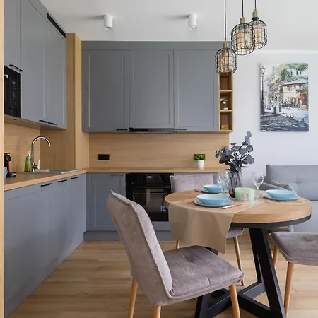 דירה Elegancki W Krakowie Z Klimatyzacja I Dostepem Do Silowni By Renters
